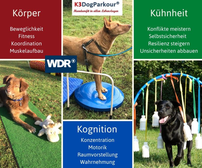 K3DogParkour®