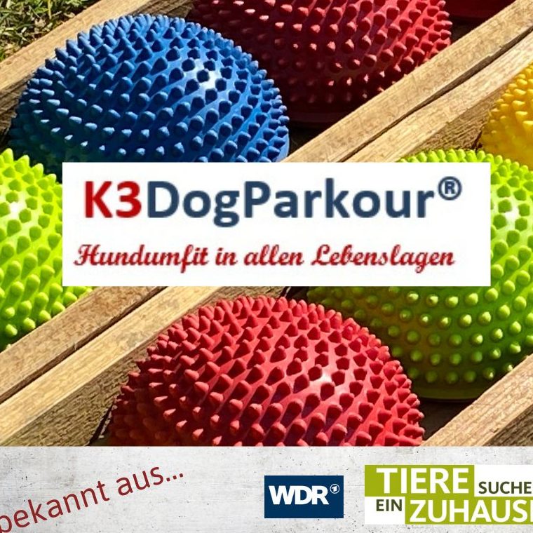 Hundeschule Eure Hundezeit - K3DogParkour®