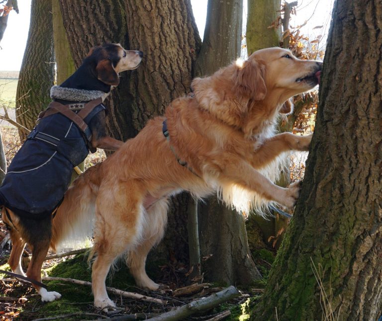 gezielte Übungen - positive Erfahrungen
