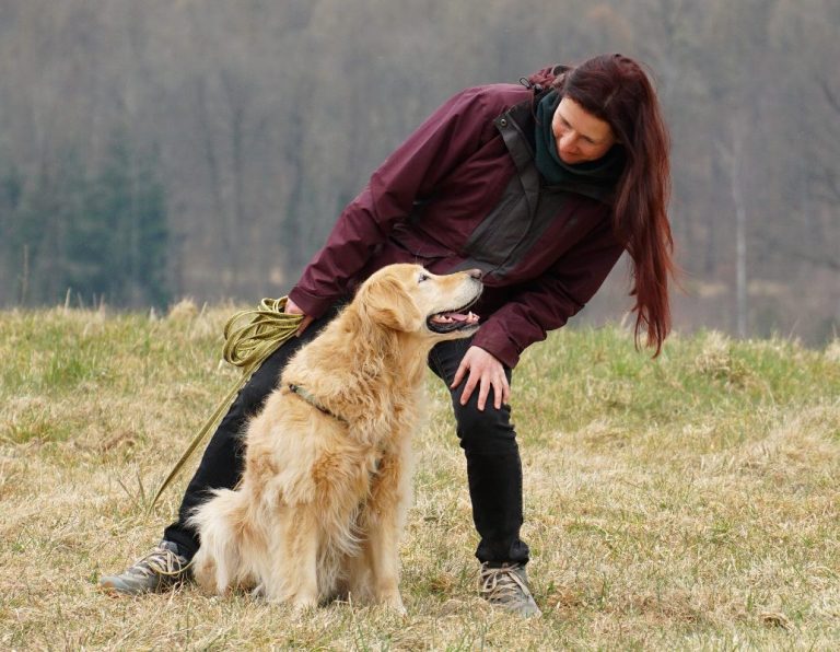 Von der Beziehung zur Bindung