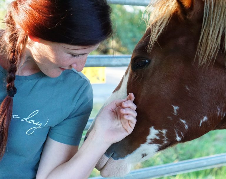 Hundeschule Eure Hundezeit - TGI Hundeschule Eure Hundezeit - TGI