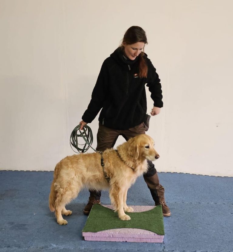 K3DogParkour® Adora